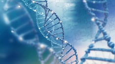 Evolution of the Care of Patients With Advanced Ovarian Cancer