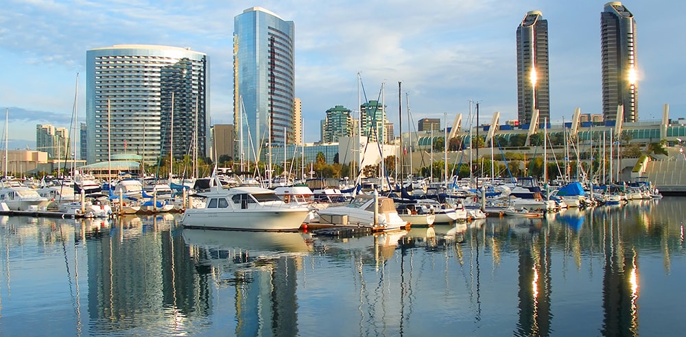 American Academy of Neurology (AAN) 2025 Annual Meeting